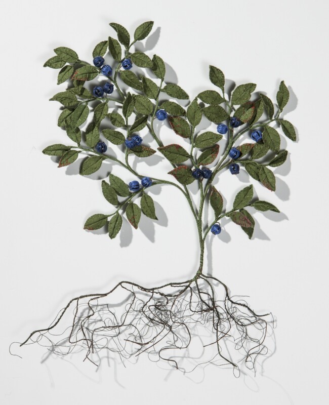 Kunstnik Natalja Velchinskaya loodud botaaniline leht