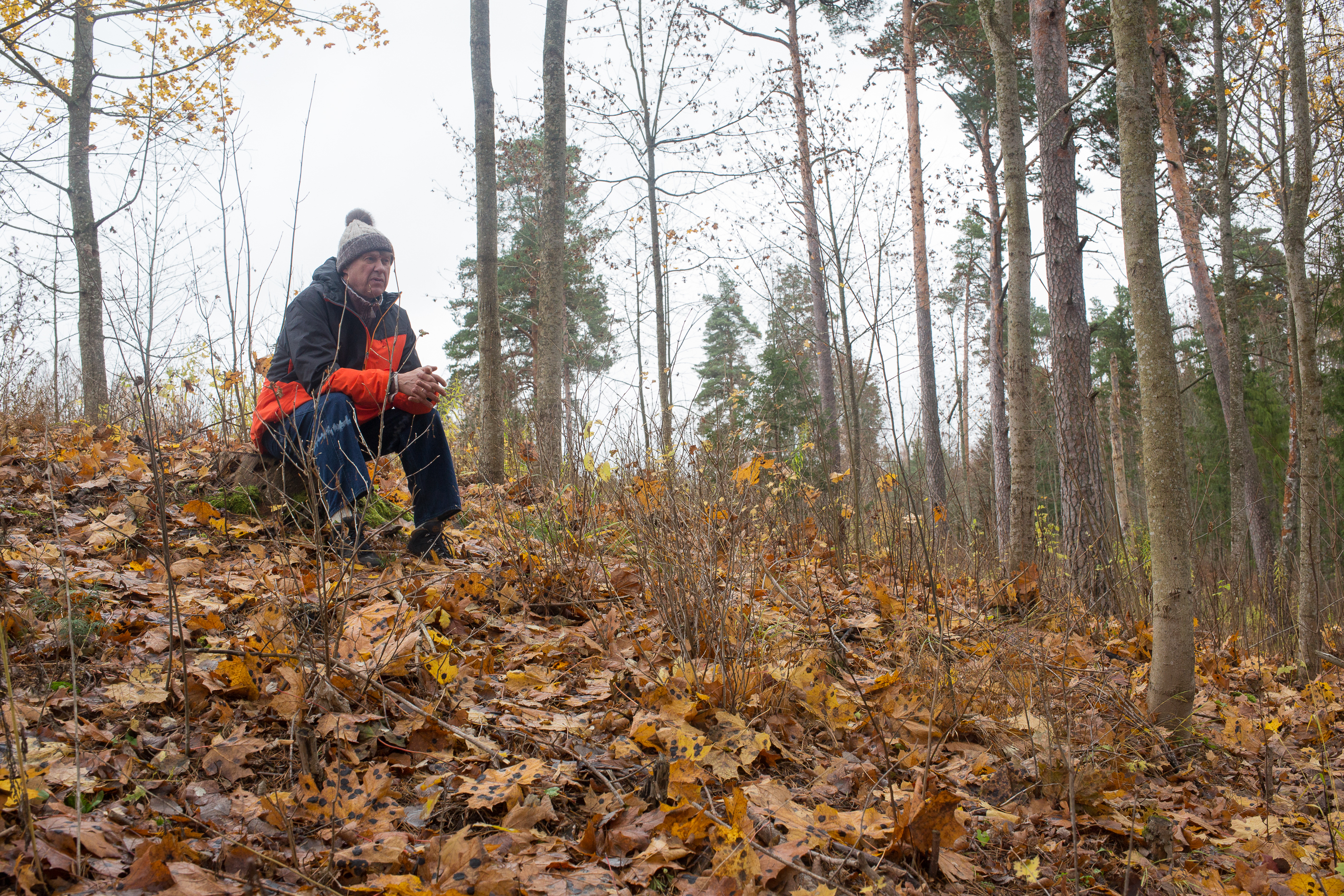 Lastekirjanik Juhani Püttsepp metsas